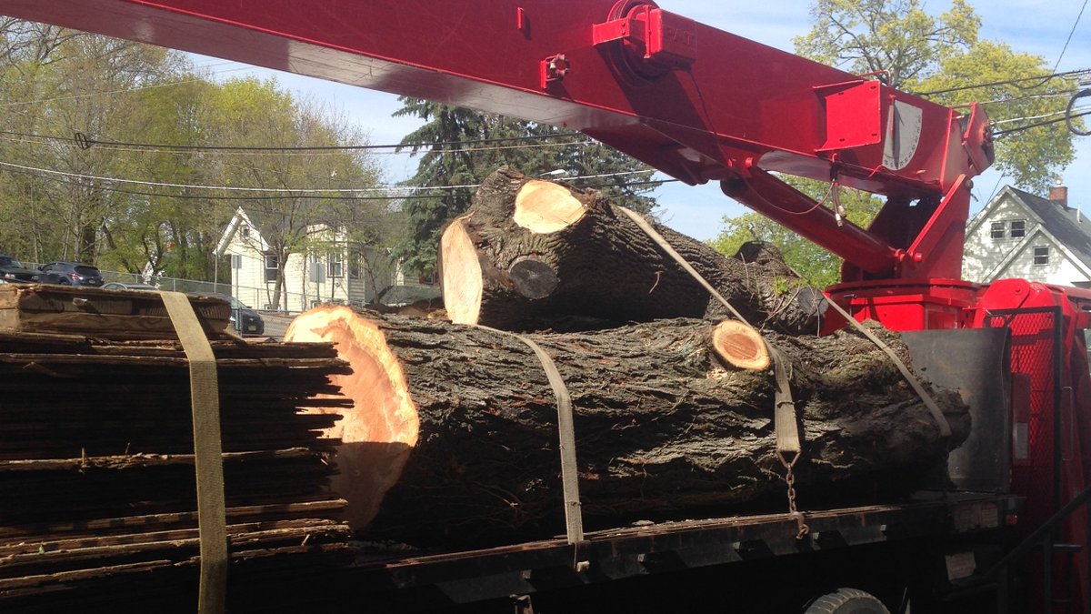 amazingtreesnj's tweet image. Professional Tree Removal Service NJ
To schedule a free estimate call us at (973)343-6868.

#TreeRemovalService #TreeRemovalServiceNJ #TreeRemoval #TreeRemovalExperts #ProfessionalTreeRemovalService
atreeservicenj.com