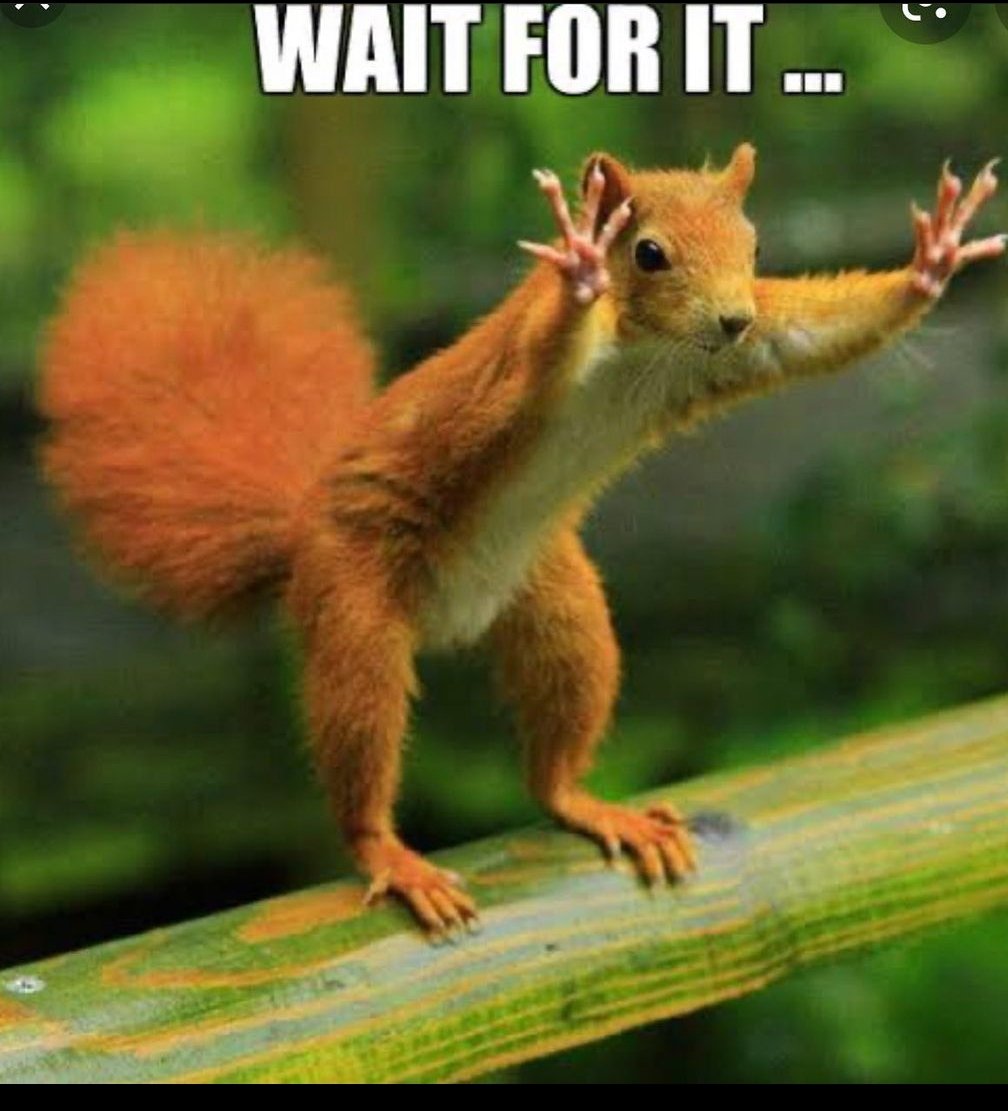 Lademmi's tweet image. My first certificate as a frontend developer, when I said &quot;I&apos;m not gonna give up&quot; I wasn&apos;t capping 😊
const myWin = &quot;This is the beginning&quot;;
console.log(myWin);
@Kynsofficial 
#CodeWithAgbaAkin