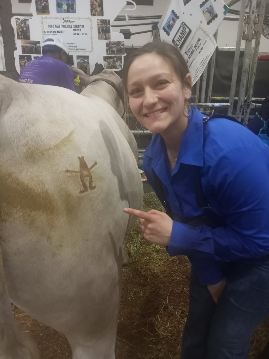 cypressparkffa's tweet photo. Congratulations Lexi &amp; Mater for placing 9th in a very large and challenging class of Charolais steers. Not to mention earning an auction spot in the HLSR Market Steer Auction. #RiseUp #ITT #cypressparkffa https://t.co/0kJfNqrwh3