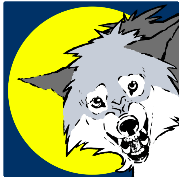 WolvesDefender's tweet photo. Which #wolf are you? The wolf holds the #UkrainianSpirit. Wolves work as a pack to defend their homes to the last. Which of these #NFT wolves is your spirit animal? https://t.co/KOtjEb8GoS