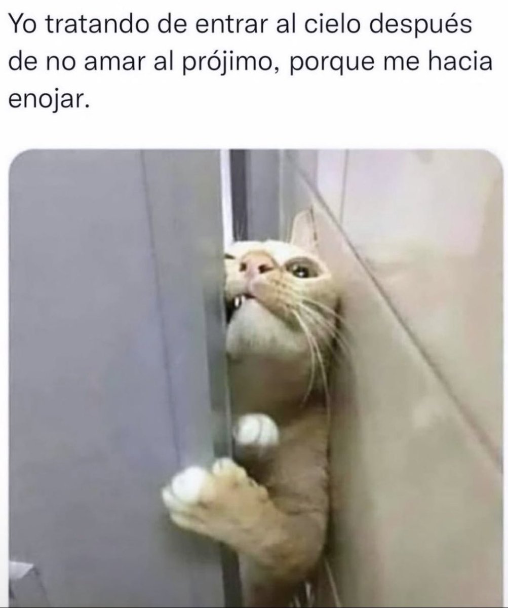 belangelyn's tweet photo. SeñoooL dame un break…😩🥴😭 https://t.co/ntonxqOedC