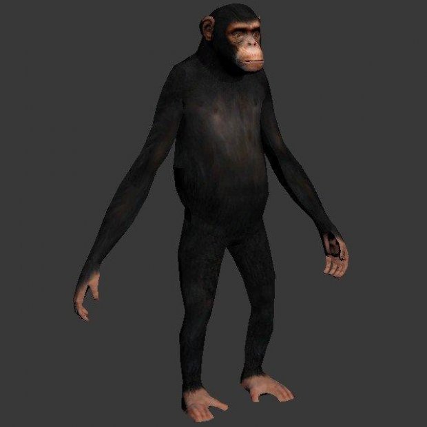 ChimpNursery's tweet photo. I'm 1 person wearing many hats, this is the first low poly avatar I'm using to create our very own usable metaverse avatar for our NFTs.

Not much but hey

Official Telegram:
https://t.co/wrnKen7WQS

#Solana #SOL  #NFTCommunity #NFTProject #NFT #ETH #BSC #BTC #SHIRYO #CRONOS https://t.co/Vy8VrItnMM