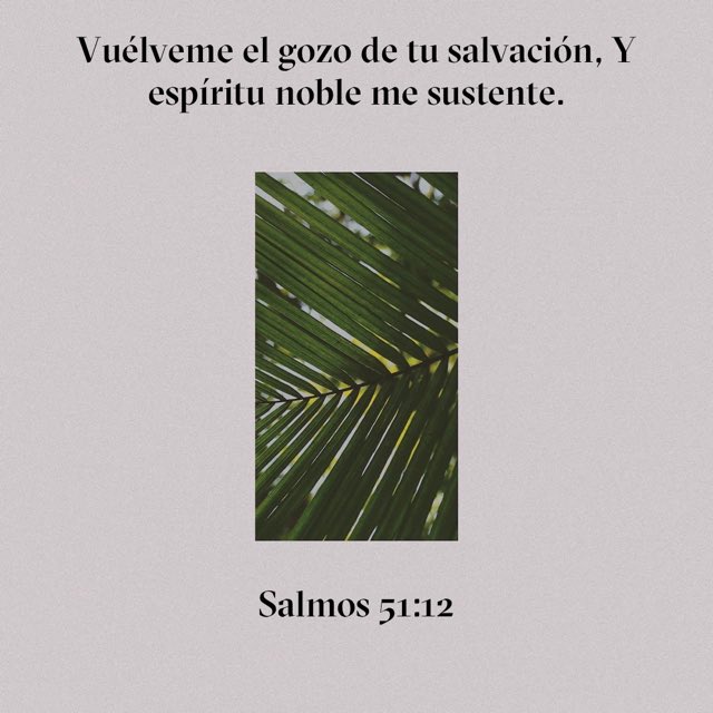 jorge_hema's tweet photo. Por los problemas diarios
Por las cargas que llegan
Por los desiertos que aparecen
Por las cosas falsas que se dicen
Por los pecados que cometemos
Por los planes fallidos
Por las expectativas que se desmoronan
Por eso y muchas cosas más,perdemos el gozo de nuestra salvación

Ora: https://t.co/cxuYEqhsID