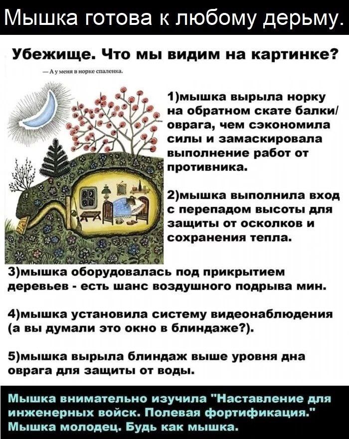 Мышка готова к любому дерьму