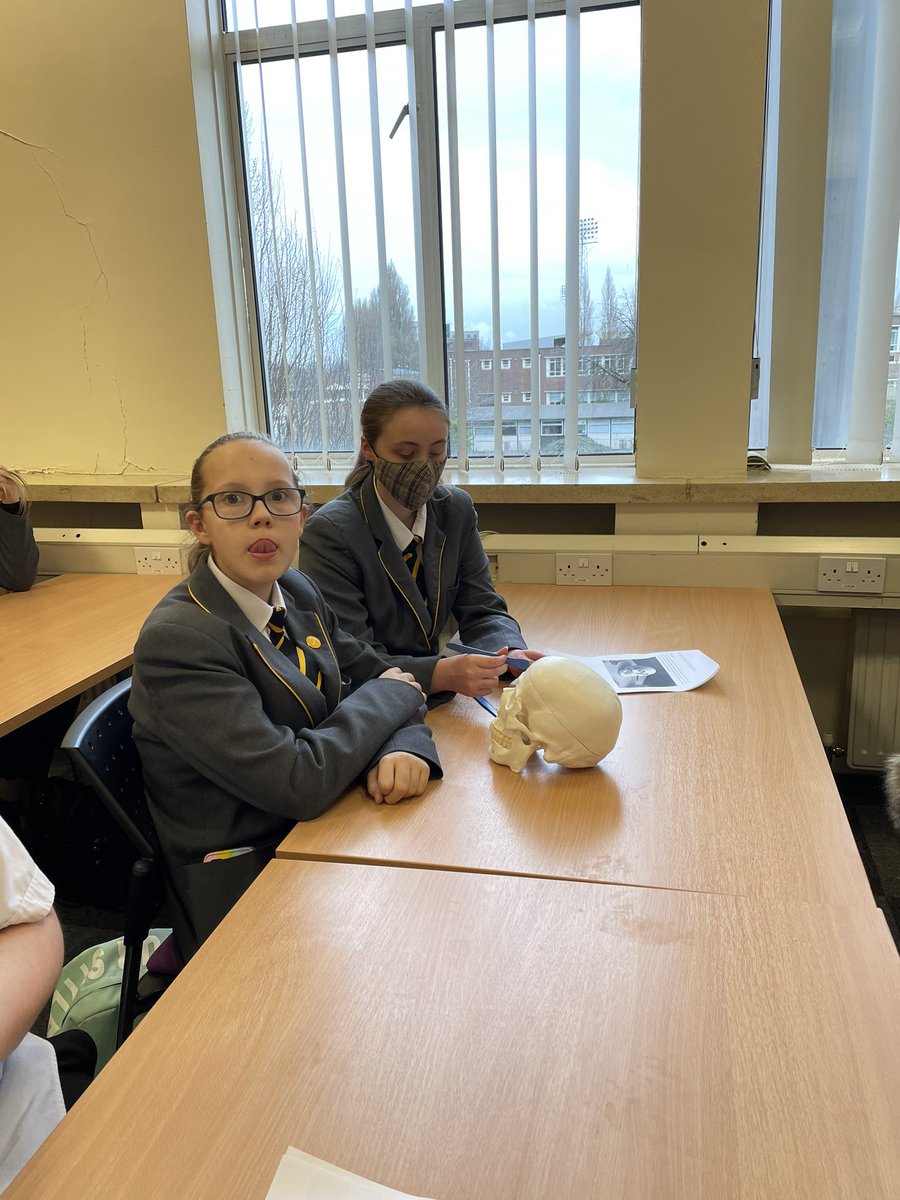 rjbrer's tweet photo. Brilliant afternoon spent with @YsgolBrynAlyn @StBrigidsSch YR10 #girlsintoSTEM @GlyndwrUni delivered in partnership with @EESWSTEMCymru learners participated in Qualitative Drug Analysis &amp; Facial Reconstruction.  Big shout out to @ForensicsWGU @tynannosaurusrx for supporting 👍 https://t.co/HuUJGNDXZd