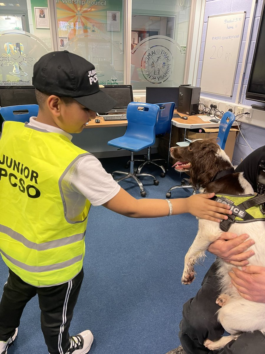 stjamesb21's tweet photo. What a brilliant way to end a rainy day! Children in year 5 met two different police dogs 🐶 the trainee PCSO’s asked lots of questions and learnt all about how hard the dogs work. #wmpdogs #lovelearning #police https://t.co/f5rZlrdOWF