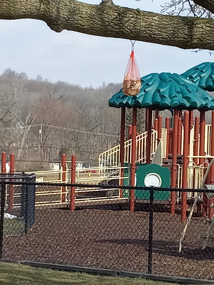 Melissa Henderson tweet media