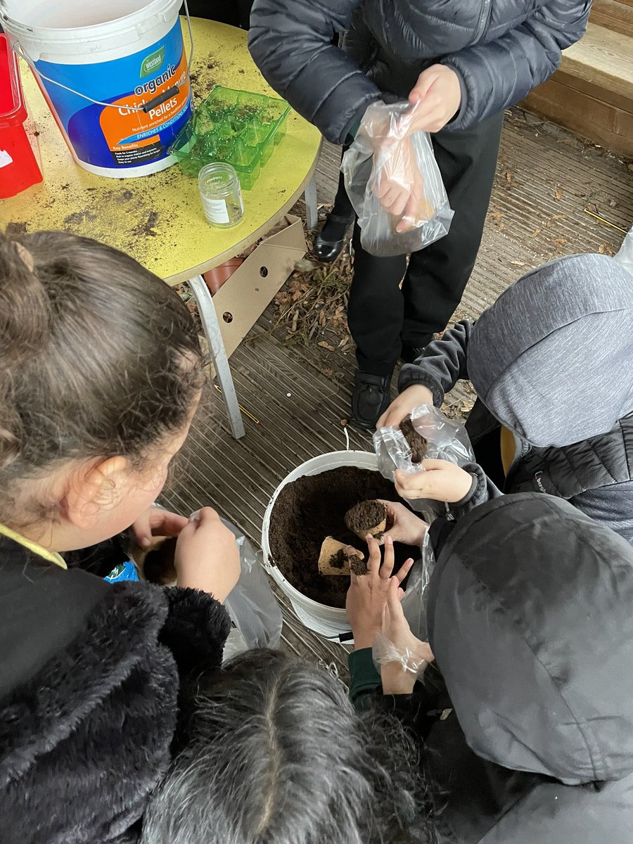 firsprimarysale's tweet photo. Gordon’s Gardeners have been hard at work preparing lots of seeds to sow. We can’t wait to see if some pumpkins grow! 🪴🌱🎃 #Year5JB https://t.co/eQLKyHnx3u