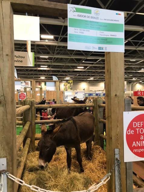 .<a href="/jeuxolympiques/">Jeux Olympiques</a> <a href="/FIBA/">FIBA Basketball</a> <a href="/TonyEstanguet/">Tony Estanguet - OLY</a> <a href="/Anne_Hidalgo/">Anne Hidalgo</a> <a href="/Paris2024/">Paris 2024</a> 

Are you really gonna let the best team sports of the event be played in this location? 

I don’t know who’s in charge but you have to do better for basketball!