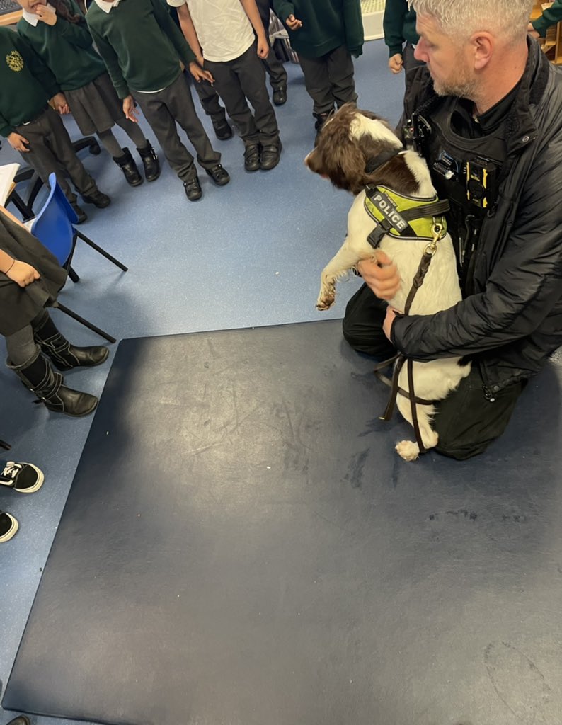 stjamesb21's tweet photo. Reception children got to meet Delph the hard working police dog who loves a belly rub 🐶😍 #wmpdogs https://t.co/SBUpAr7kiO