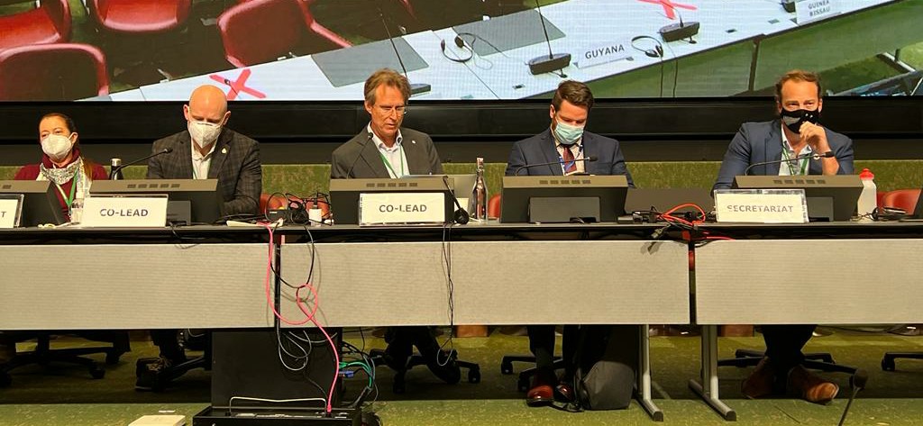 Expert #fisheries panel: Canada Andrew McMaster, NZ Adam vanOpzeeland, Jake Rice, Amber HimesCornell, Vivienne Solis &amp; <a href="/AppiottJoe/">Joe Appiott</a> talk on #ocean Post 2020 at <a href="/UNBiodiversity/">UN Biodiversity</a>
Geneve. 
<a href="/FAOfish/">Fisheries & Aquaculture</a> <a href="/iucn/">IUCN</a> FEG,  <a href="/EBCD_bxl/">EBCD</a>