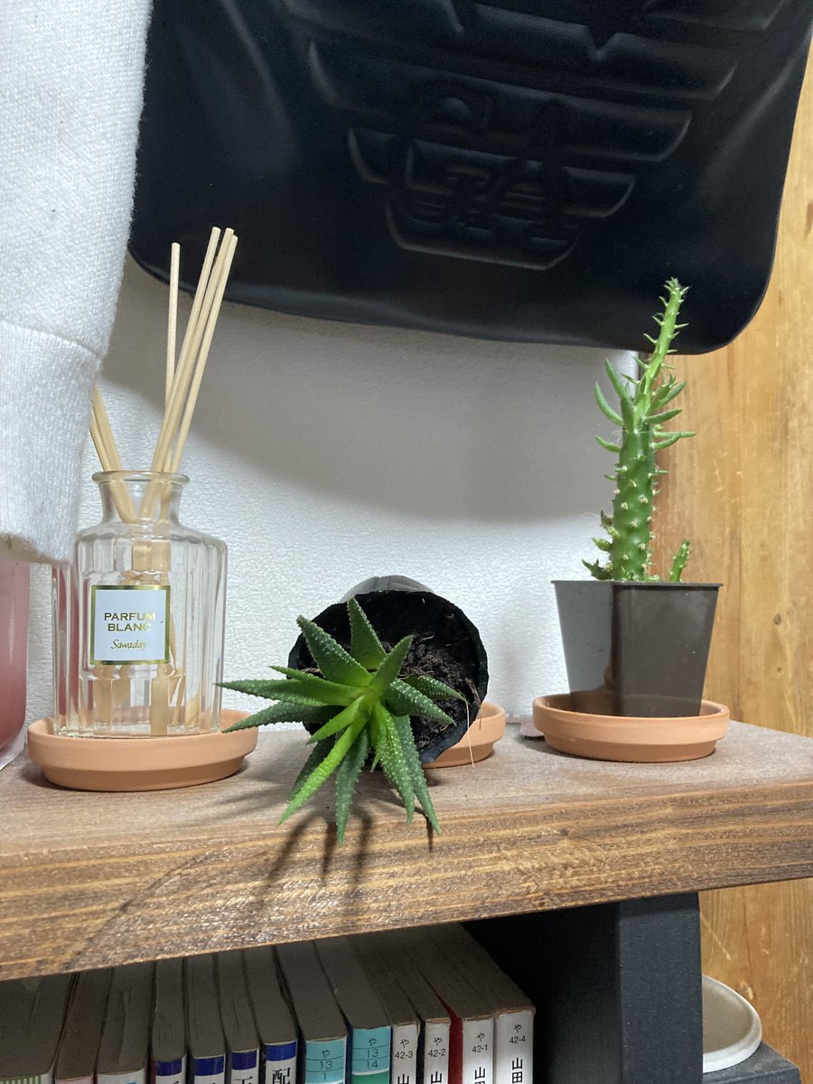 前の山形の地震の時はテレビ倒れたけど今回は観葉植物が倒れたくらいで済んだ