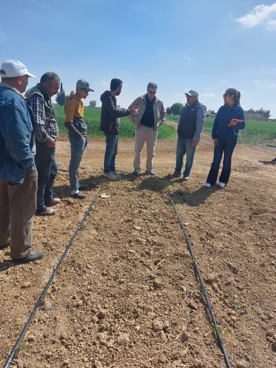 PlantAfrican's tweet photo. Dr. Steve Phillips @IPNInase, Principal Scientist at APNI, in a visit to #INGC's NUTCAT plots in Tunisia. https://t.co/NGef4qWHVR