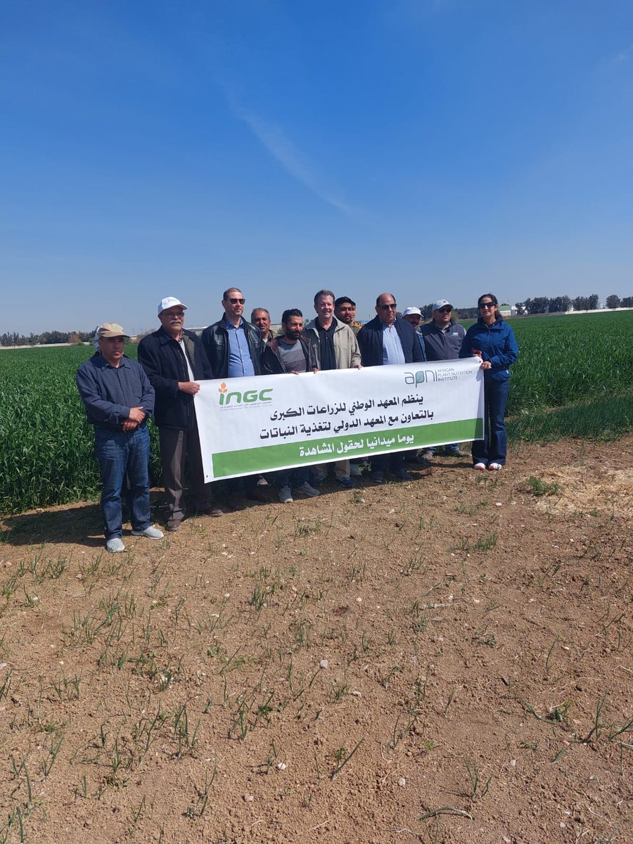 PlantAfrican's tweet photo. Dr. Steve Phillips @IPNInase, Principal Scientist at APNI, in a visit to #INGC's NUTCAT plots in Tunisia. https://t.co/NGef4qWHVR