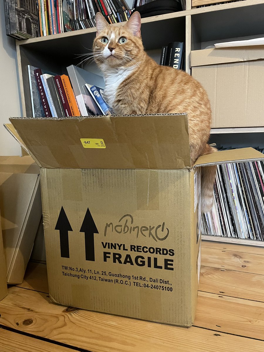 New @VLSIRecords release announcement incoming this Friday - got some help unpacking the records from @mobineko 😺