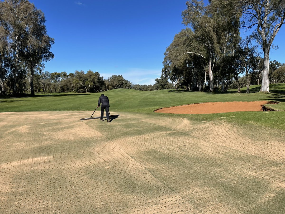 SR89turf's tweet photo. Some welcome back work after a week in 🇦🇪 https://t.co/y8pFysKSdT