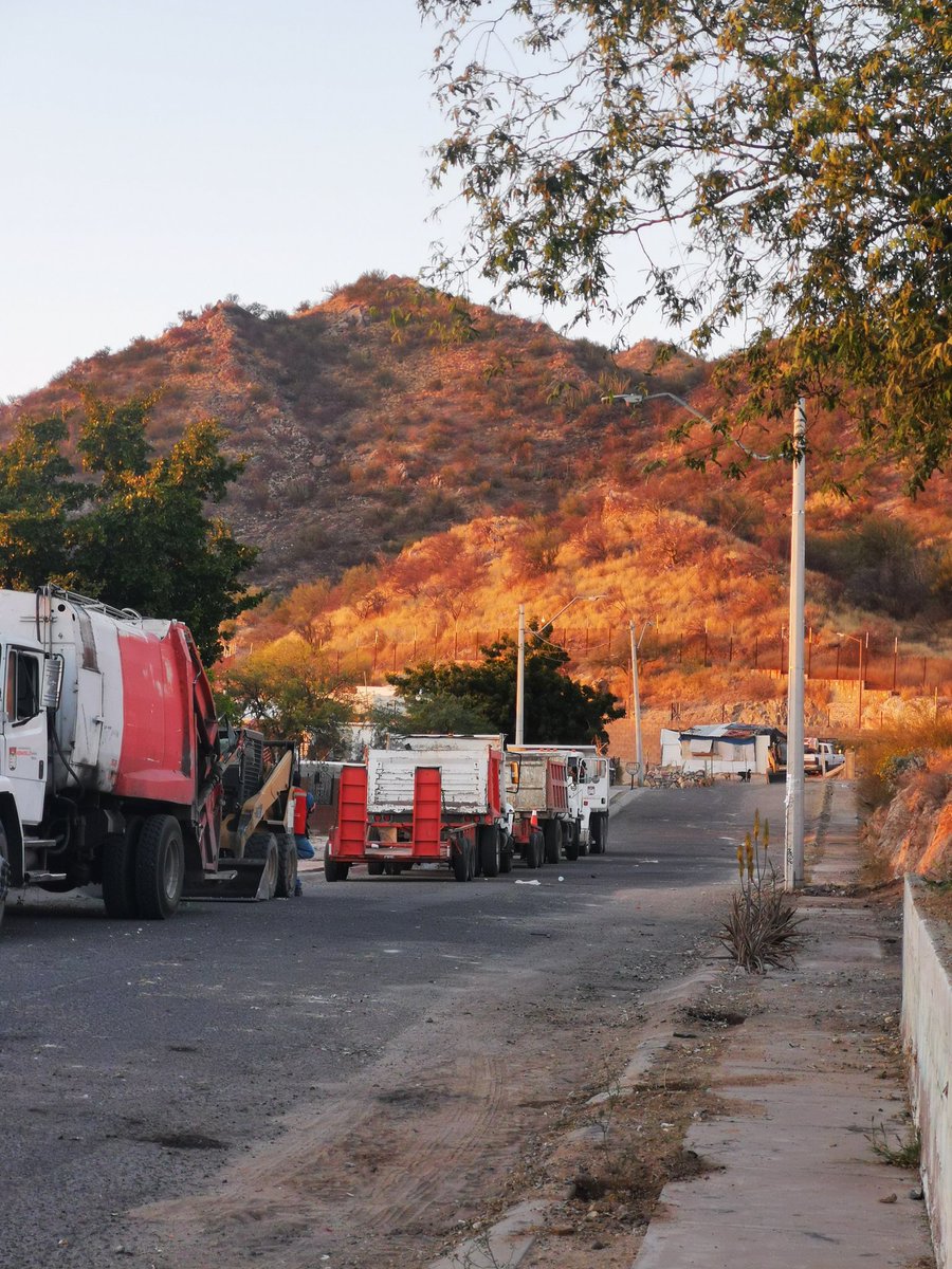 CDDesierto's tweet photo. En octubre iniciamos con la limpieza y reforestación de la calle la mirada en la colonia Los Angeles para prevenir incendios en el Johnson. Agradecemos a  @servpublicoshmo por haber intervenido de nueva cuenta el día de ayer. 1/4 https://t.co/A2RHfzknRH