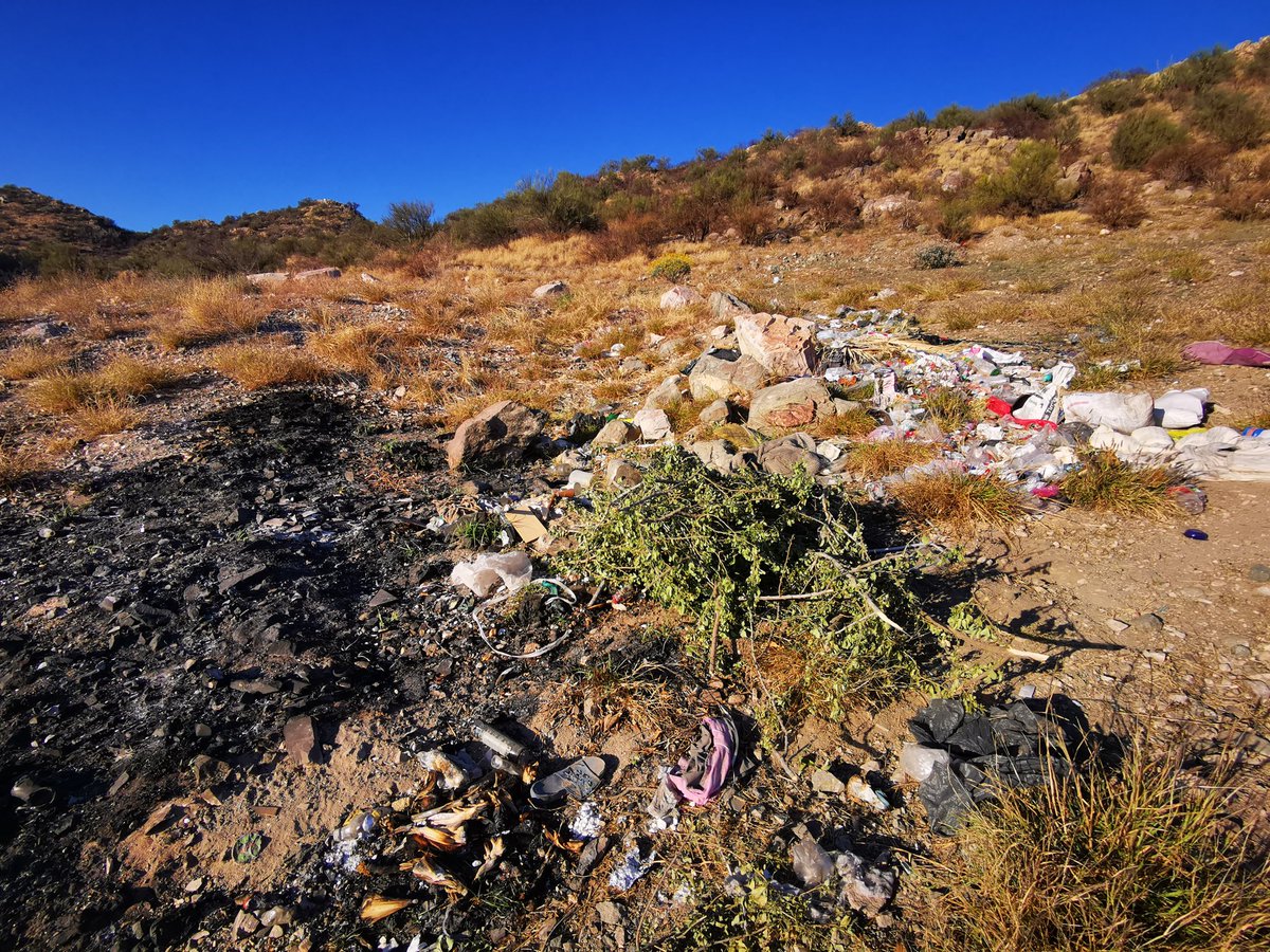 CDDesierto's tweet photo. En octubre iniciamos con la limpieza y reforestación de la calle la mirada en la colonia Los Angeles para prevenir incendios en el Johnson. Agradecemos a  @servpublicoshmo por haber intervenido de nueva cuenta el día de ayer. 1/4 https://t.co/A2RHfzknRH
