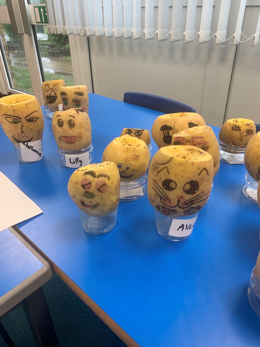 This year for British Science Week, the theme is 'Growth' so the children in KS2 have been super busy creating their cress potato heads! Got some really creative faces going on 🥔🌱🪴 well done 👏 #BSW22 #BritishScienceWeek #BritishScienceWeek2022 #Growth