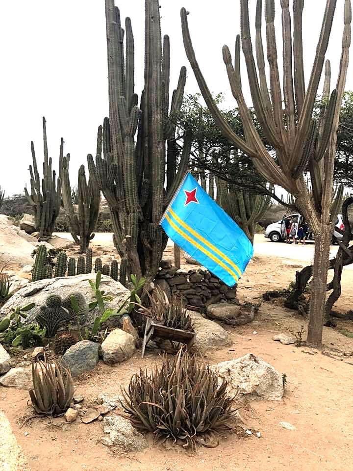 Gisfcroes's tweet photo. https://t.co/oU4GmBa823 su playlist ta dedica na nos Dia Nacional, celebracion di Aruba su Himno y Bandera #HimnoYBandera #Aruba #OnlineRadioStation https://t.co/HUTYI5hasL