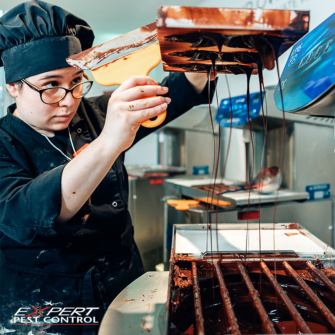 ExpertPestC's tweet photo. #Foodprocessing plants, #bakeries, and #grocery stores are probably seriously gearing up for #Easter and the #chocolate sales. Don’t let pests get in the way of the chocolate eggs! https://t.co/pQrK61MIKo https://t.co/xJoaAlPnTP