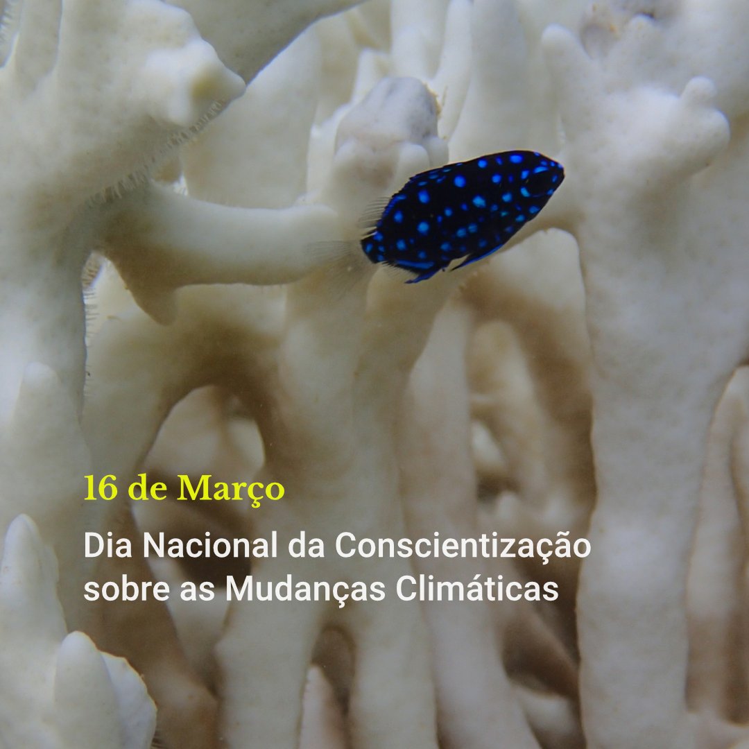 Peld Tams tweet media