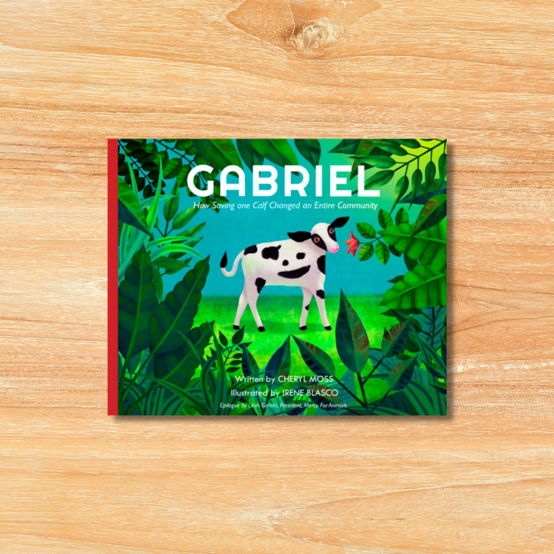 Better Life For Animals tweet media