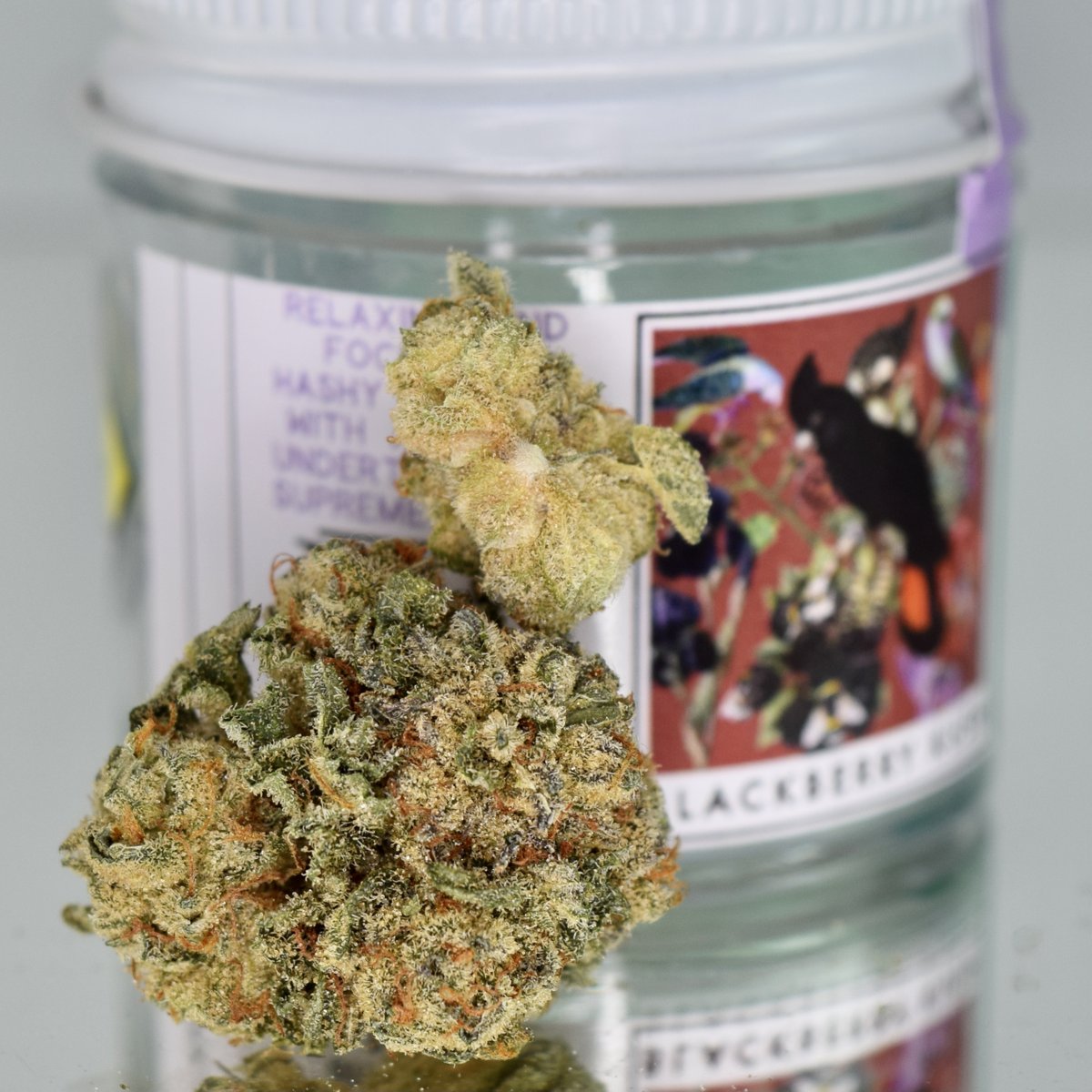 SeattleHashtag's tweet photo. Find @RavenGrass in our special collection this week as well! All flower, concentrates, and pre-rolls, through Monday.
#ravengrass #jackherer #blackberrykush #strainselection #hashtagcertified #hashtagfamily https://t.co/PeugyO3cUa