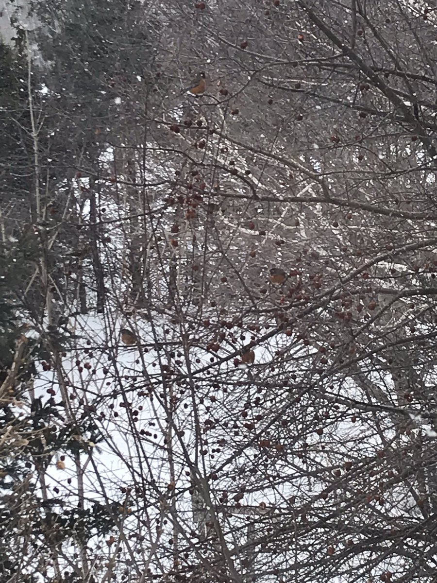 JDaniel_M tweet media