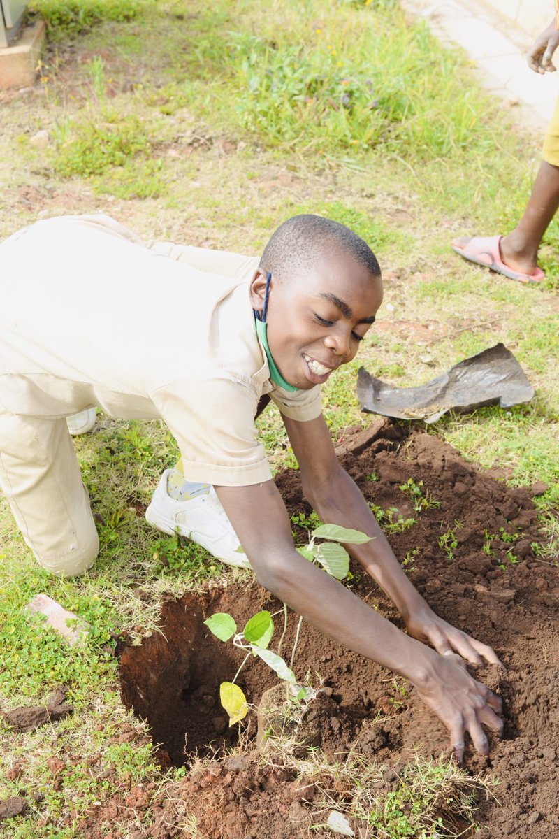 School trees planting event at Gitarama &amp; Kabgayi schools | ANA 🤝Trees for cities