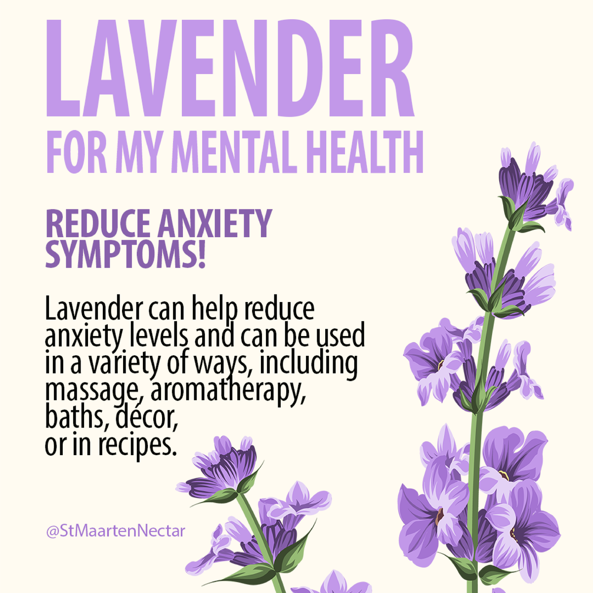 StMaartenNectar's tweet photo. Did you know? #StMaartenNectar https://t.co/fQW7phBnCt