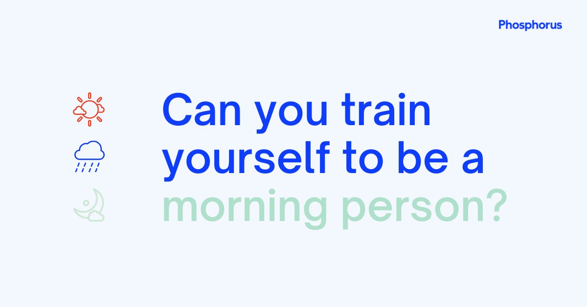 Phosphorus tweet media