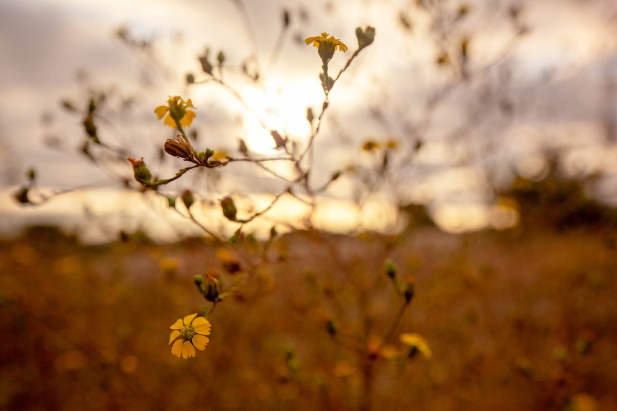 VisitSMV's tweet photo. Whether you’re planning a trip for the whole family for #SpringBreak or simply itching for some alone time, here are six things to put some ‘spring’ in your itinerary: https://t.co/EgQh3LKOXJ
#VisitSantaMariaValley #SantaMariaStyle #ThingsToDoInCalifornia #CaliforniaCentralCoast https://t.co/HGFT67B4to