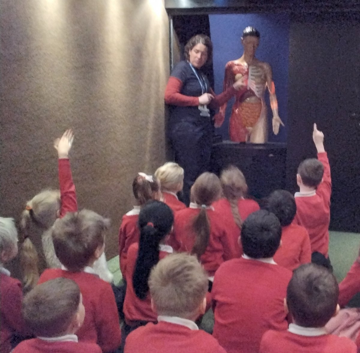 Guyhirnschool's tweet photo. Marriott children had a wonderful experience on the Life Bus, learning about the body, medicines and drugs. #BritishScienceWeek2022 #lifebus #marriottclass #guyhirnprimaryschool https://t.co/WqjrUbJzqi