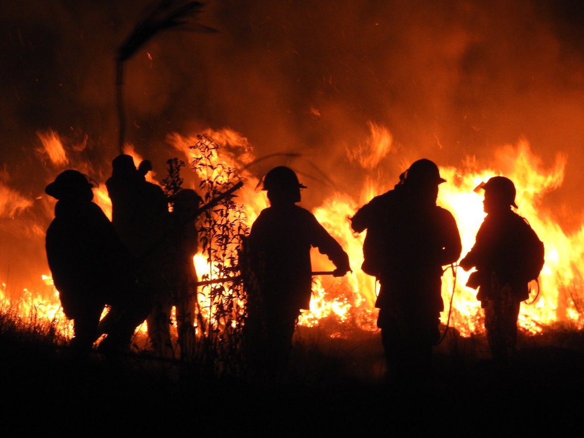 LUEGO DE LAS LLAMAS: UN EQUIPO TRABAJANDO PARA SALVAR FAUNA SILVESTRE AUTÓCTONA EN UNO DE LOS HUMEDALES MÁS GRANDES DEL MUNDO
After the flames: Teamwork to save native fauna in one of the largest wetlands in the world <a href="/Temaiken/">Fundación Temaikèn</a> 

🤲 helpargentina.org/es/proyectos/d…

HelpArgentina 501(c3)