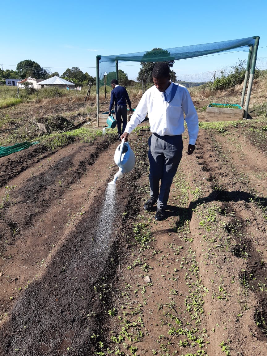 progresslondon's tweet photo. #TheBiggerPicture #Seed2Plate #Seed2Seed #SelfSustainability #Empowerment #FutureFood #Time4Progress https://t.co/12nluKOOAZ