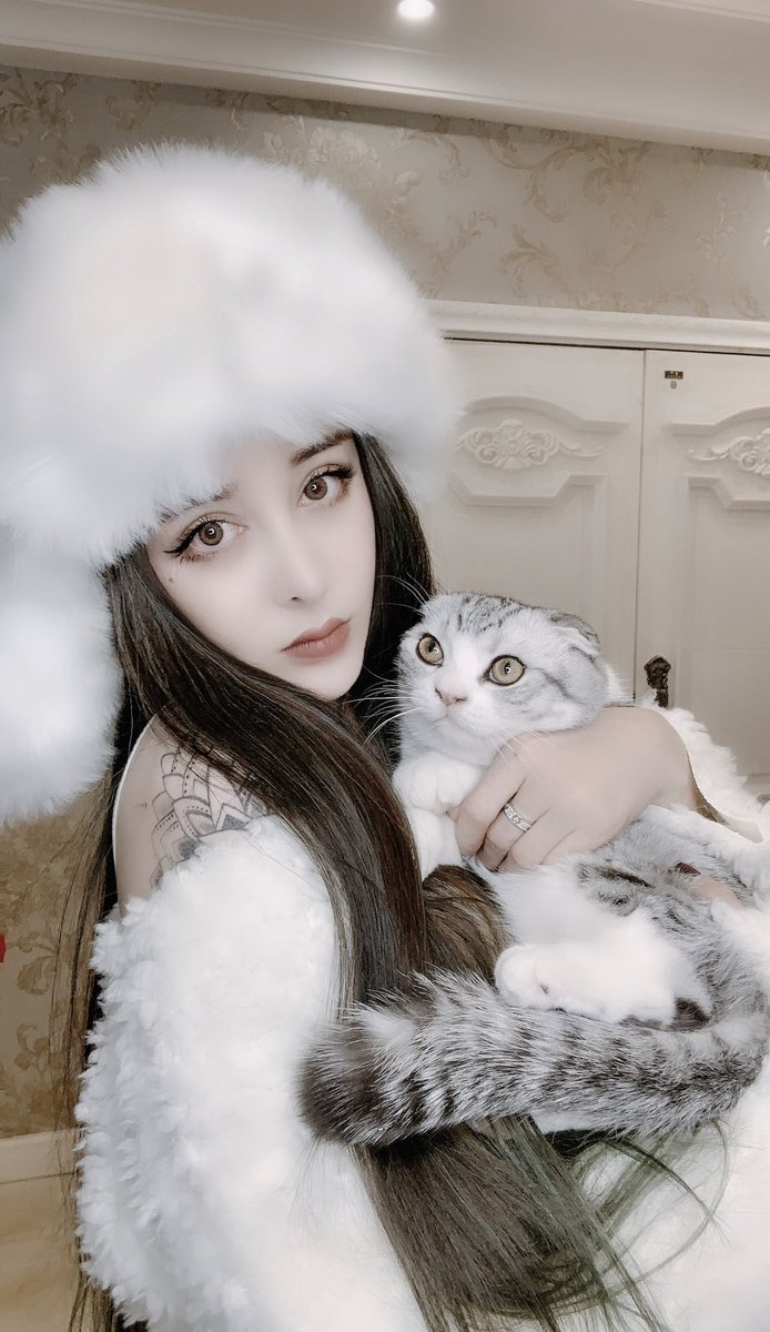 Phoenix70793864's tweet photo. Today's lovely🐱 https://t.co/Lw7liZdAHE