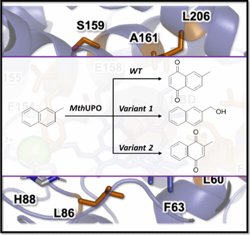 Weissenborn_Lab's tweet photo. We are looking for a highly motivated PhD student to start as soon as possible in our group. 
Please contact me or my team if you're interested 😀 https://t.co/TOrRpmaM5D