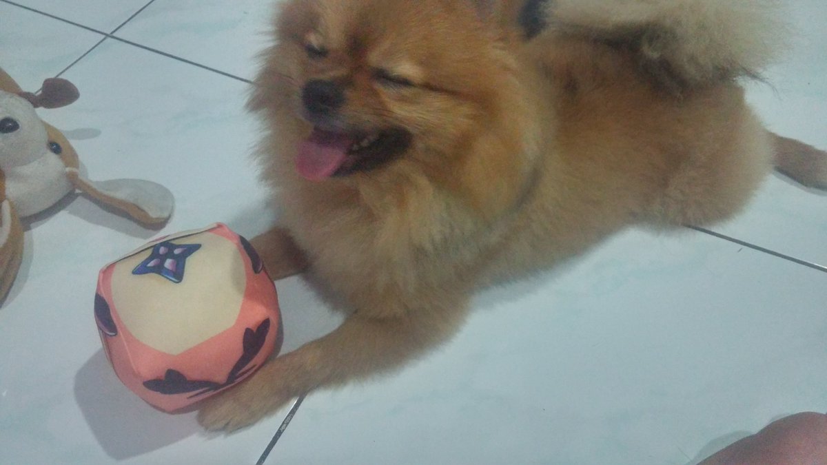 Ferrick - Stargazing Raven💪🐿💪 tweet media