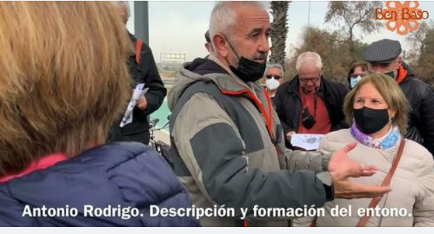 Asociación Ben Baso tweet media