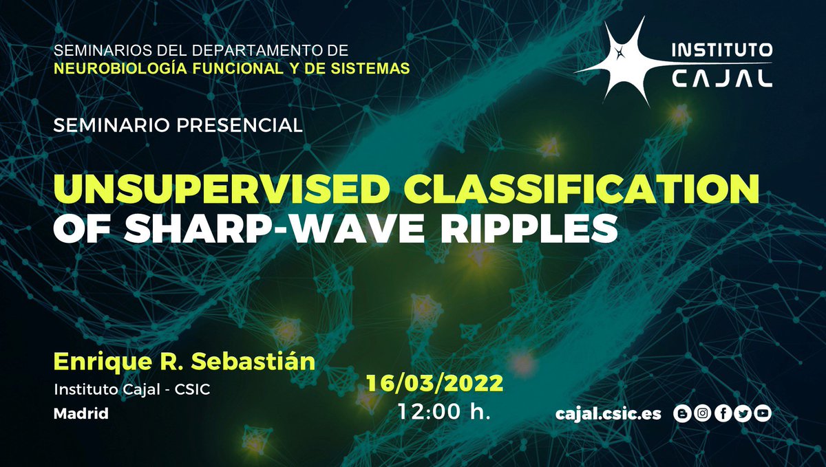 LMPrida's tweet photo. This week at the @InstitutoCajal our @EnrRodSeb will be presenting his amazing work on unsupervised classification of sharp-wave ripples. A project funded by @CaixaResearch to use machine learning to unveil hippocampal representations in health and disease. More coming soon! https://t.co/YnEehJ4TYc