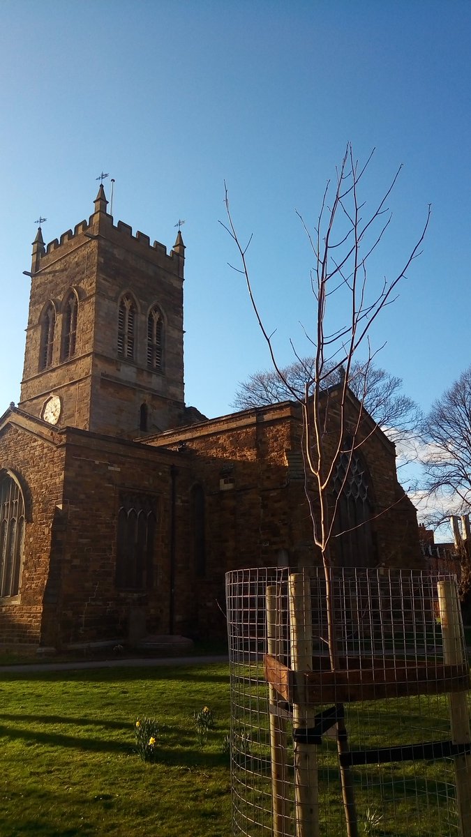 GiorgioPandiani's tweet photo. 5 new beautiful #trees were planted in St. Giles today 😍 Thank you @StGilesTerrace, now let's take care of them 💪🌳 https://t.co/72TUDvxypz