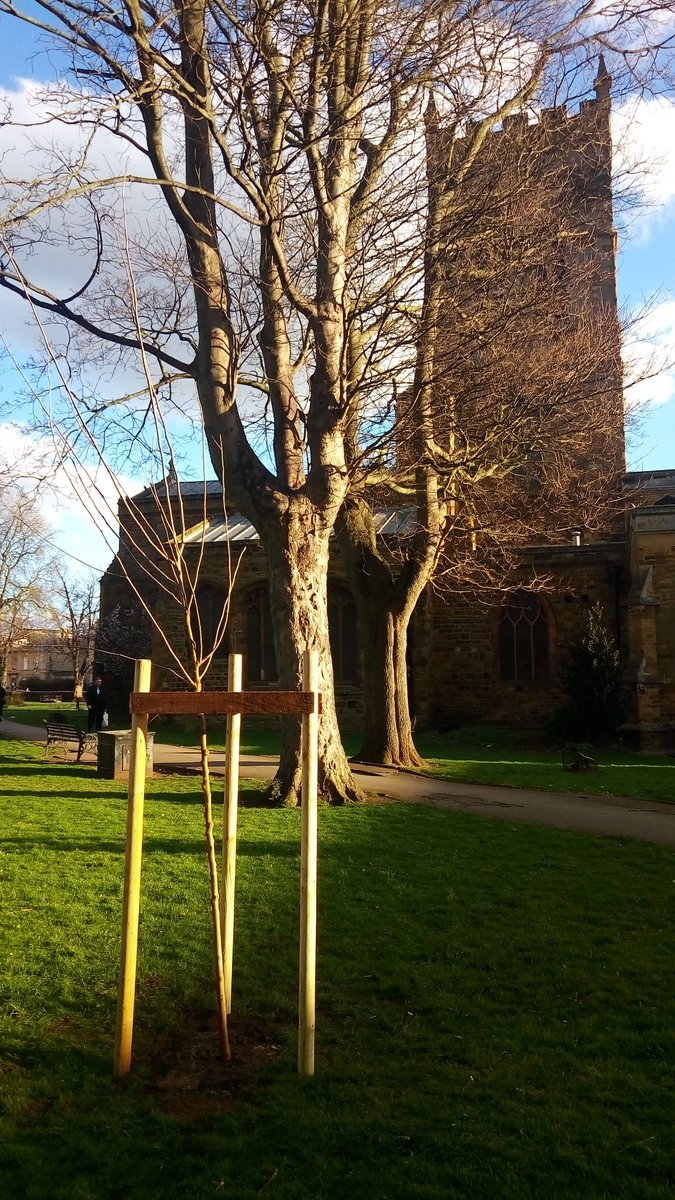 GiorgioPandiani's tweet photo. 5 new beautiful #trees were planted in St. Giles today 😍 Thank you @StGilesTerrace, now let's take care of them 💪🌳 https://t.co/72TUDvxypz