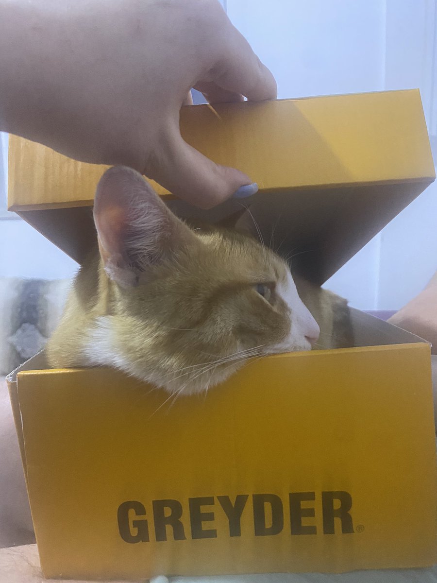 Bazı kutular sürprizlerle dolu 💛<a href="/greydertr/">GREYDER</a>