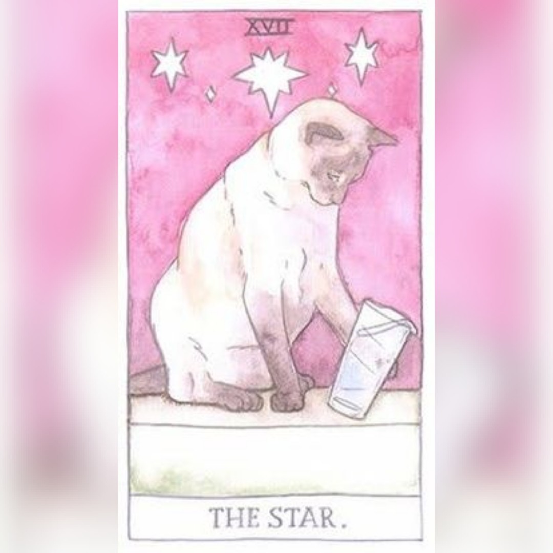 MrGregMr's tweet photo. π«Card4Today isπ«,The Stars: After the storm comes the rainbow, it's a new day, a new week. Practice forgiveness, start with thyself.
-- #tarotfun #tarotdeck #tarotcards #tarotreading #tarotreadings #tarot #tarotpractice #tarotlover #tarotista https://t.co/X7n1GqTdI4