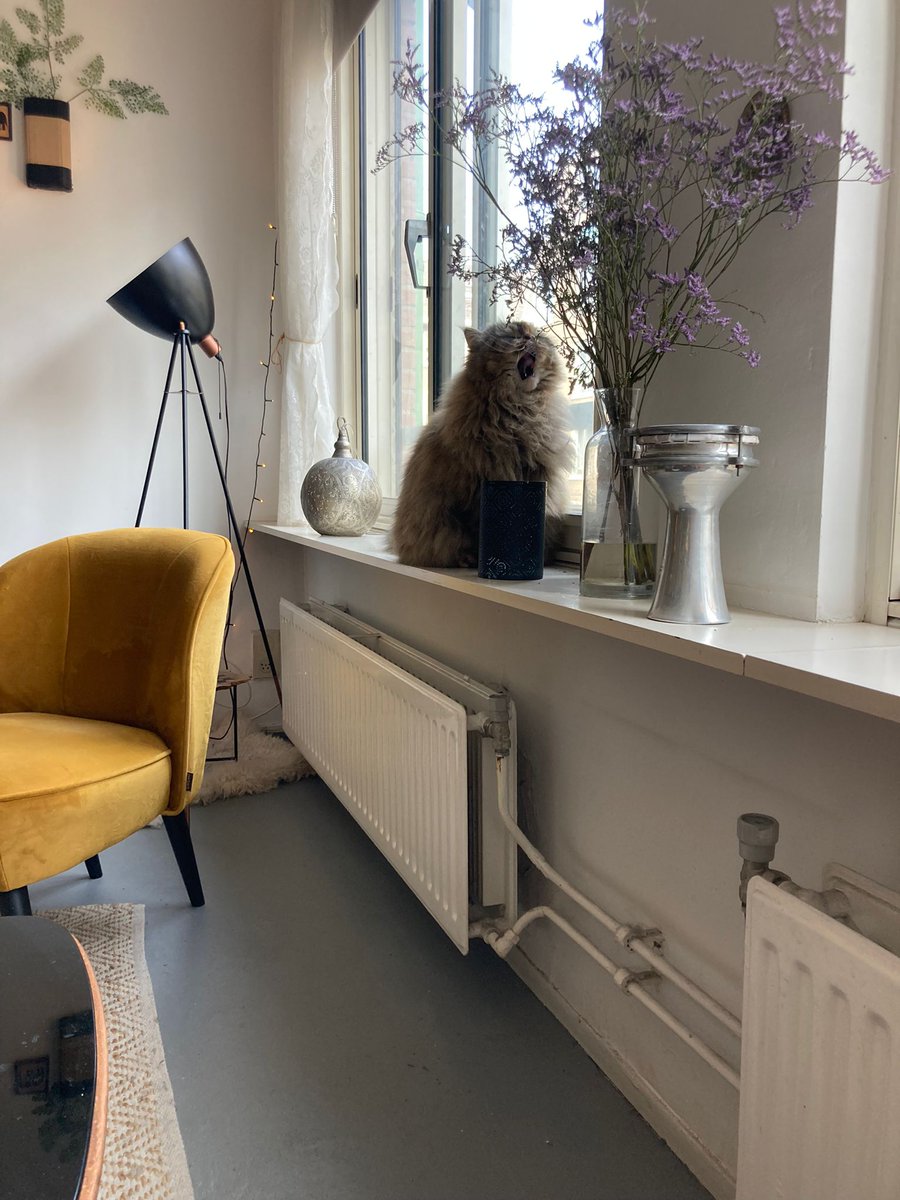 Isa Yusibov 🇪🇺 🇳🇱 🇺🇦 tweet media