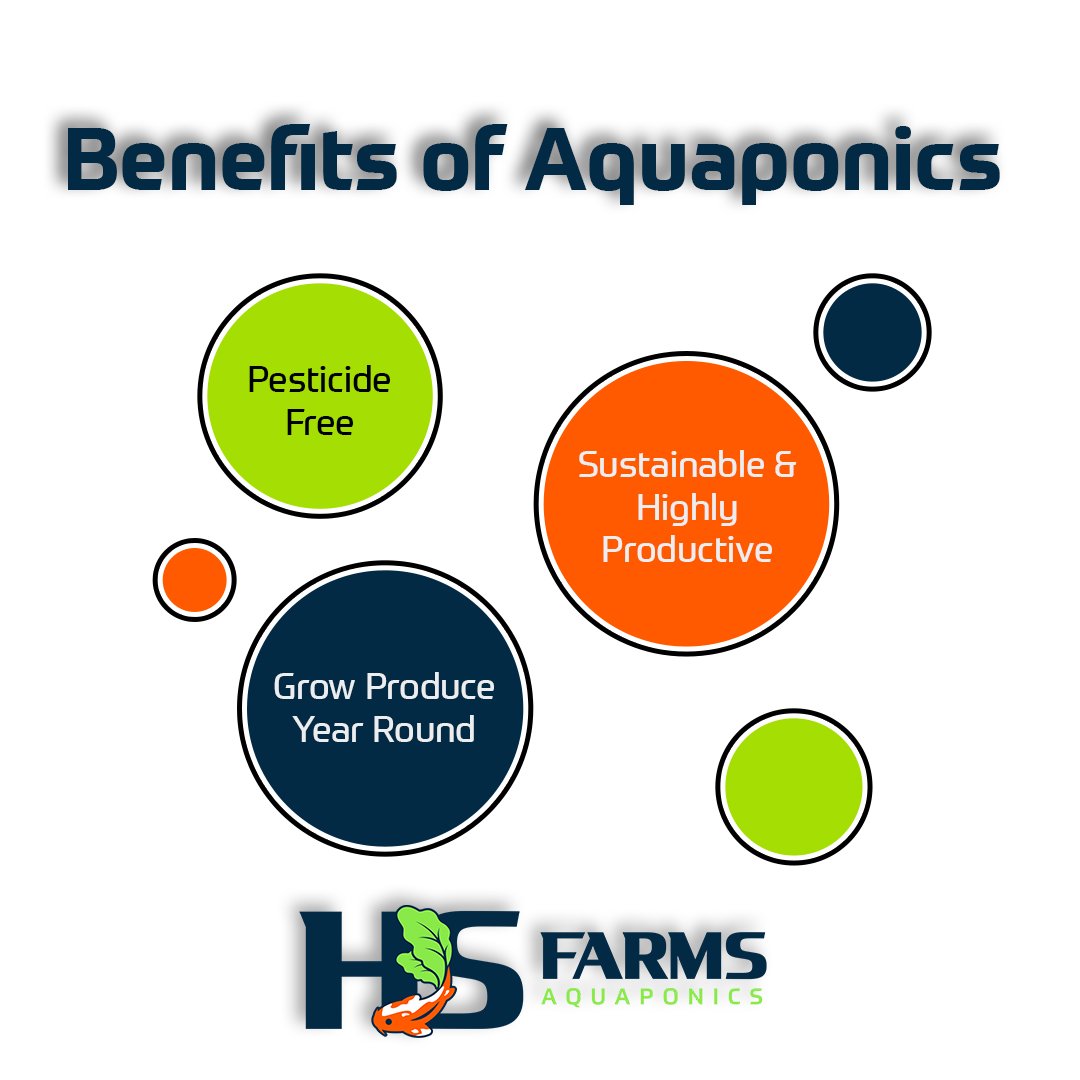 hsfarmsinc's tweet photo. More than just producing delicious food, there are plenty of reasons to love aquaponic farming. 🍅 
.
.
.
.
.
#aquaponic #shoplocal #aquaponics #produce #plants #allnatural #certifiedorganic #organic #organicfood #organiclife #organicliving #organicfarming #chemicalfree https://t.co/EocaWes3WW
