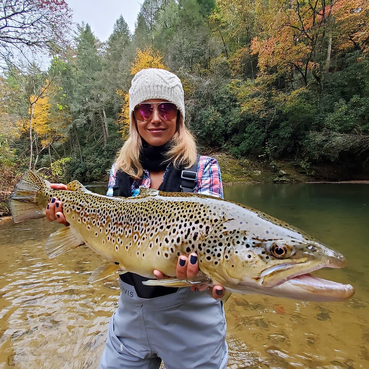 monster_ocean60's tweet photo. #fishing #fish #fishinglife #catchandrelease #bassfishing #nature #outdoors #carpfishing #fishingislife #angler #pesca #bass #carp #flyfishing #fisherman #largemouthbass #fishingtrip #fishingaddict #trout #bigfish #hunting #photography #saltwaterfishing #pike #shimano #angling https://t.co/TUSJkQq1ge