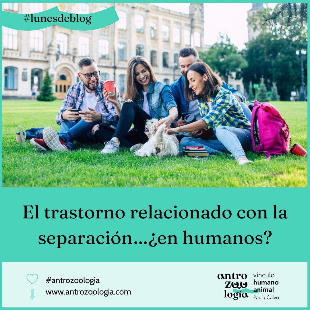 Dra_Paula_Calvo's tweet photo. 📣#lunesdeblog📣

👀 Un estudio de la Washington State University, en EEUU, en habla del hecho de que much@s estudiantes universitari@s de primer año, reportan ansiedad por separación de sus animales de compañía. https://t.co/rh4fsEguAA