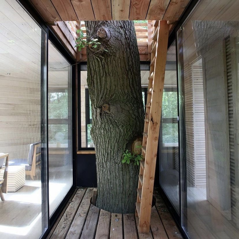 earthlium's tweet photo. Some off-the-grid treehouse living to get you dreaming on this Monday afternoon!

📍 Origin Treehouse.
🎥 @atelierlavit @nidperche

#nature #offthegridliving #treehouses #airbnbtreehouse #forestliving #ecoliving #origintreehouse #cabinlife https://t.co/VtwkrSlbWC